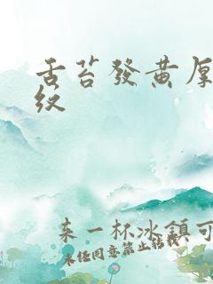 舌苔发黄厚腻裂纹