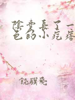 阴囊长了一颗红色的小疙瘩