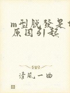 m型脱发是什么原因引起