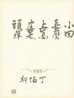 头皮上长小疙瘩痒是怎么回事