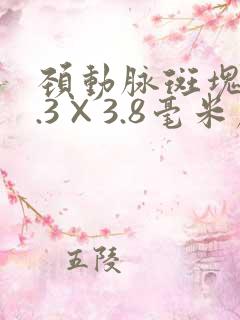 颈动脉斑块12.3×3.8毫米严重吗