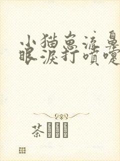 小猫崽流鼻涕流眼泪打喷嚏是怎么回事