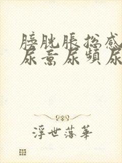 膀胱胀总感觉有尿意尿频尿量少