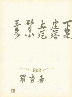 手臂上皮下有很多小疙瘩是怎么回事