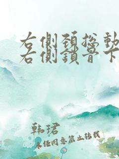 右侧颈总动脉及右侧锁骨下动脉斑块形成