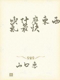 吃什么东西补肾气最快