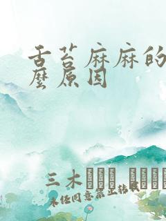 舌苔麻麻的是什么原因