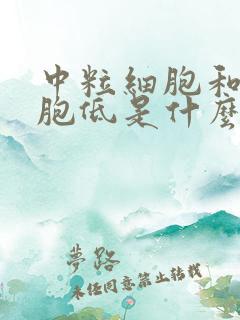 中粒细胞和白细胞低是什么原因