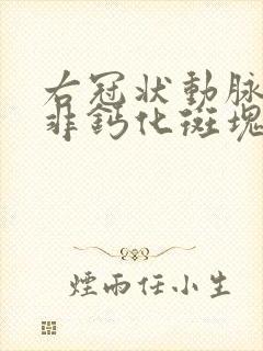 右冠状动脉管壁非钙化斑块,管腔轻度狭窄