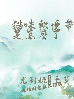 猫咪软便带点血是怎么了