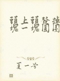 头上头发掉的一块一块圆圈怎么回事