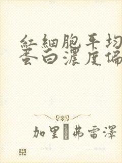 红细胞平均血红蛋白浓度偏低