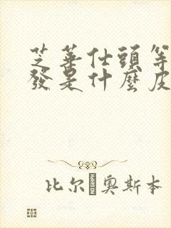 芝华仕头等舱沙发是什么皮