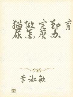 猫做完节育还乱尿怎么办