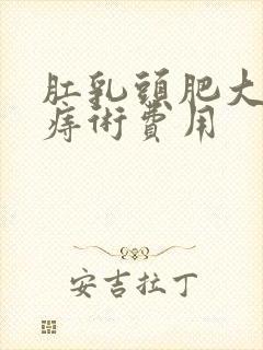 肛乳头肥大混合痔术费用