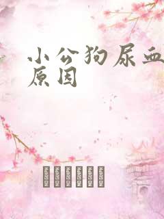 小公狗尿血什么原因