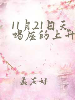 11月21日天蝎座的上升星座