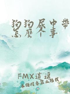 狗狗尿中带血是怎么个事