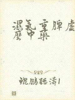 湿气重脾虚吃什么中药