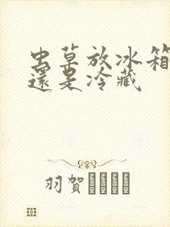 虫草放冰箱冷冻还是冷藏