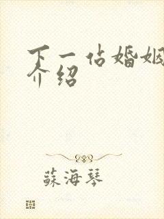 下一站婚姻剧情介绍