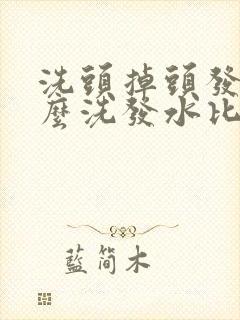 洗头掉头发用什么洗发水比较好