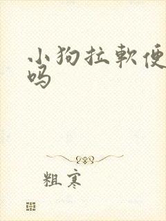 小狗拉软便正常吗