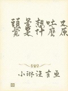 头晕想吐又想睡觉是什么原因造成的