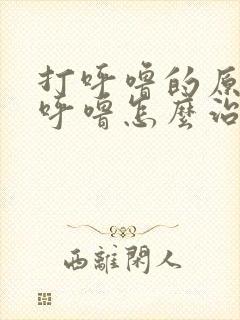 打呼噜的原因打呼噜怎么治小窍门