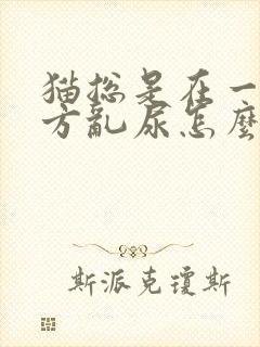 猫总是在一个地方乱尿怎么办