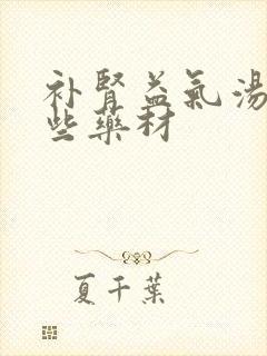 补肾益气汤有哪些药材