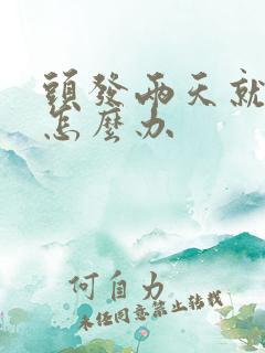 头发两天就油了怎么办