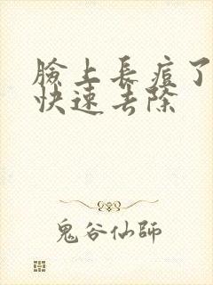 脸上长痘了怎么快速去除