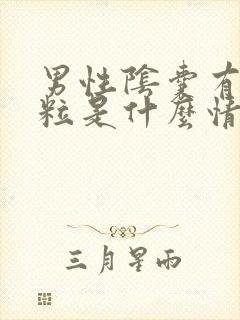 男性阴囊有小肉粒是什么情况