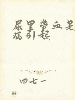 尿里带血是属什病引起