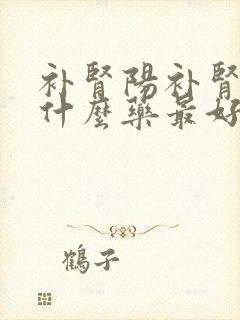 补肾阳补肾精吃什么药最好