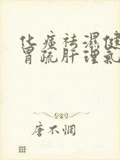 化痰祛湿健脾和胃疏肝理气