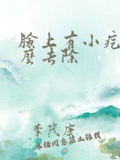 脸上有小疙瘩怎么去除