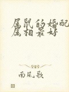 属鼠的婚配什么属相最好