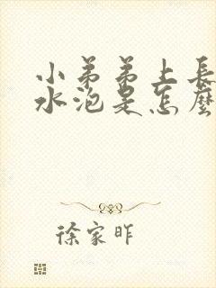 小弟弟上长了小水泡是怎么回事