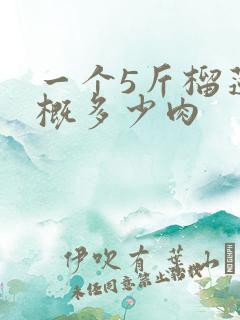 一个5斤榴莲大概多少肉