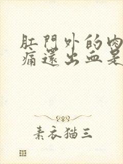 肛门外的肉球疼痛还出血是怎么回事