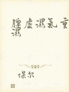 脾虚湿气重 痰湿