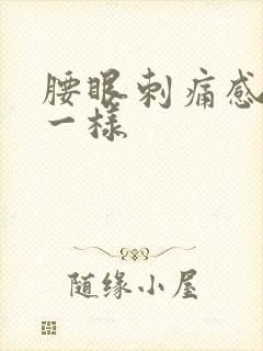 腰眼刺痛感针扎一样