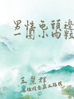 男性龟头边缘有一圈小肉粒