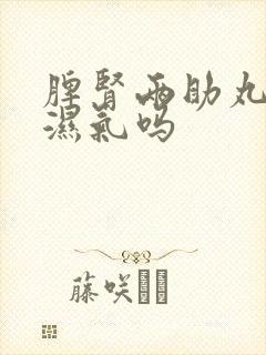 脾肾两助丸能去湿气吗