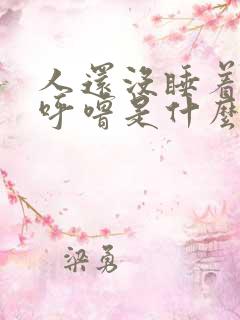 人还没睡着就打呼噜是什么原因引起