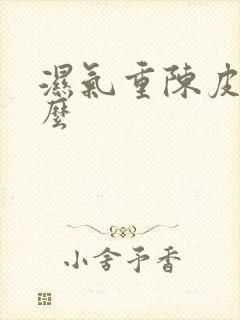 湿气重陈皮加什么