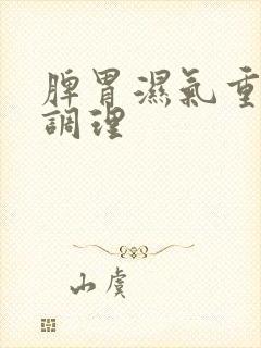 脾胃湿气重吃啥调理