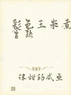 彩色玉米煮多久会熟